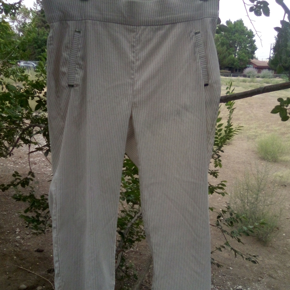 Capri dress pants
